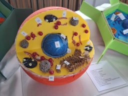 59055295713148861837726604553266751431137053n